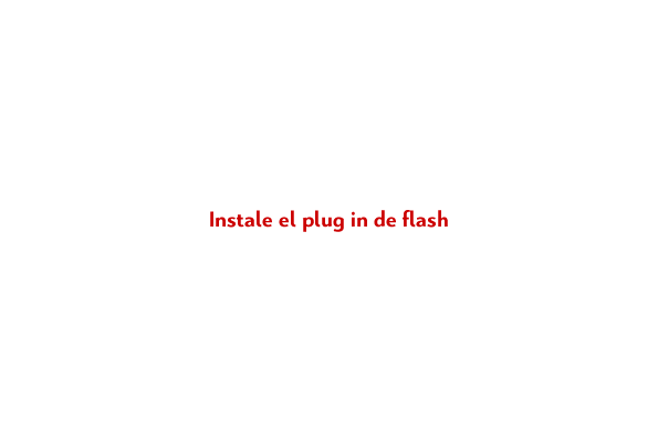 Instale el plug-in de flash